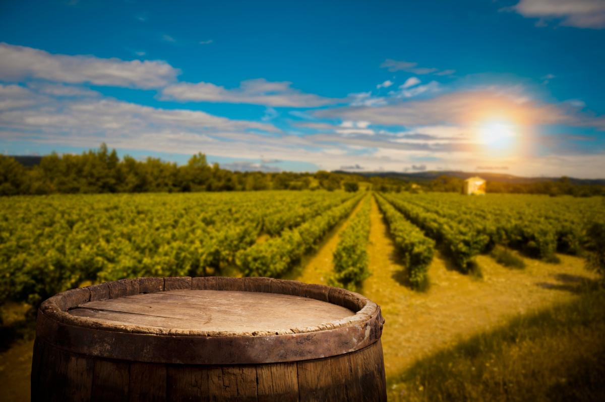 17 виноделен вошли в топ-50 объектов гастротуризма России 2024 года