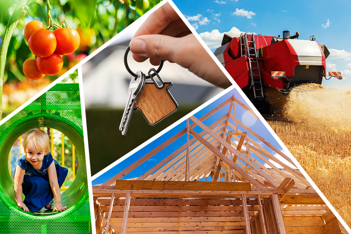 Лут: участие бизнеса в госпрограмме развития сельских территорий растет