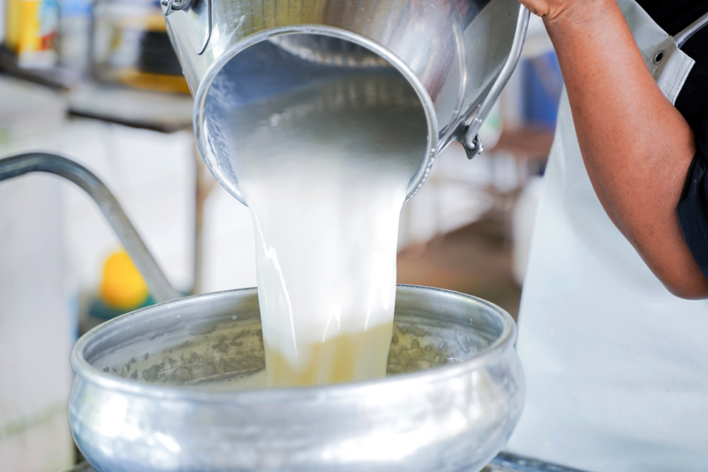 Жители Саратовской области обеспечены молоком собственного производства на 100%
