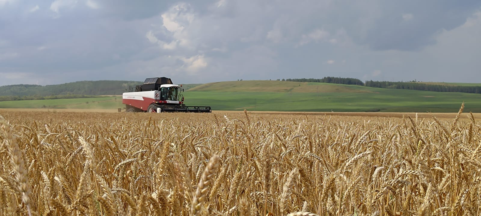 В Татарстане прошел семинар-совещание по вопросам формирования урожая