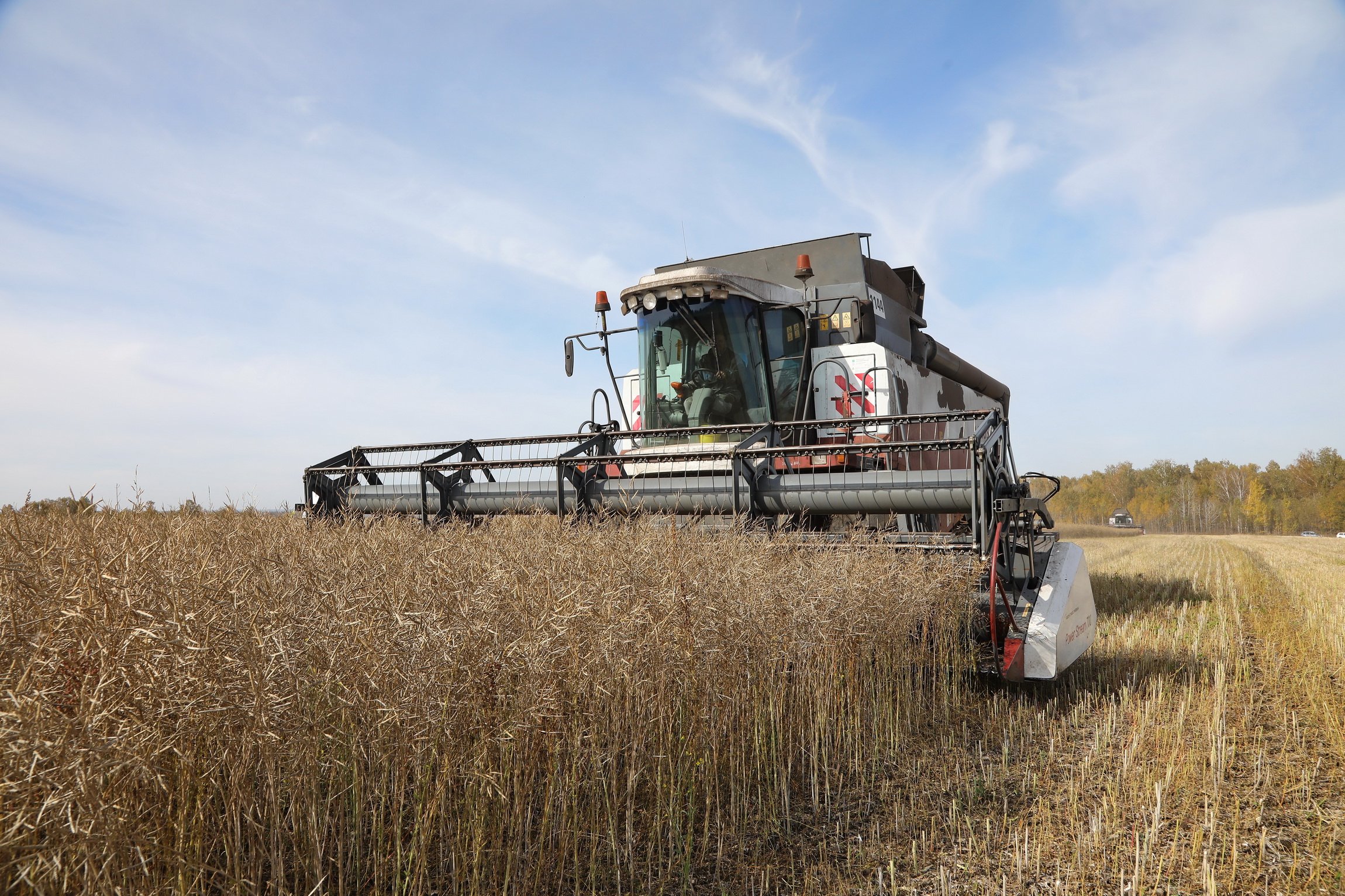В Красноярском крае стартовала уборочная кампания