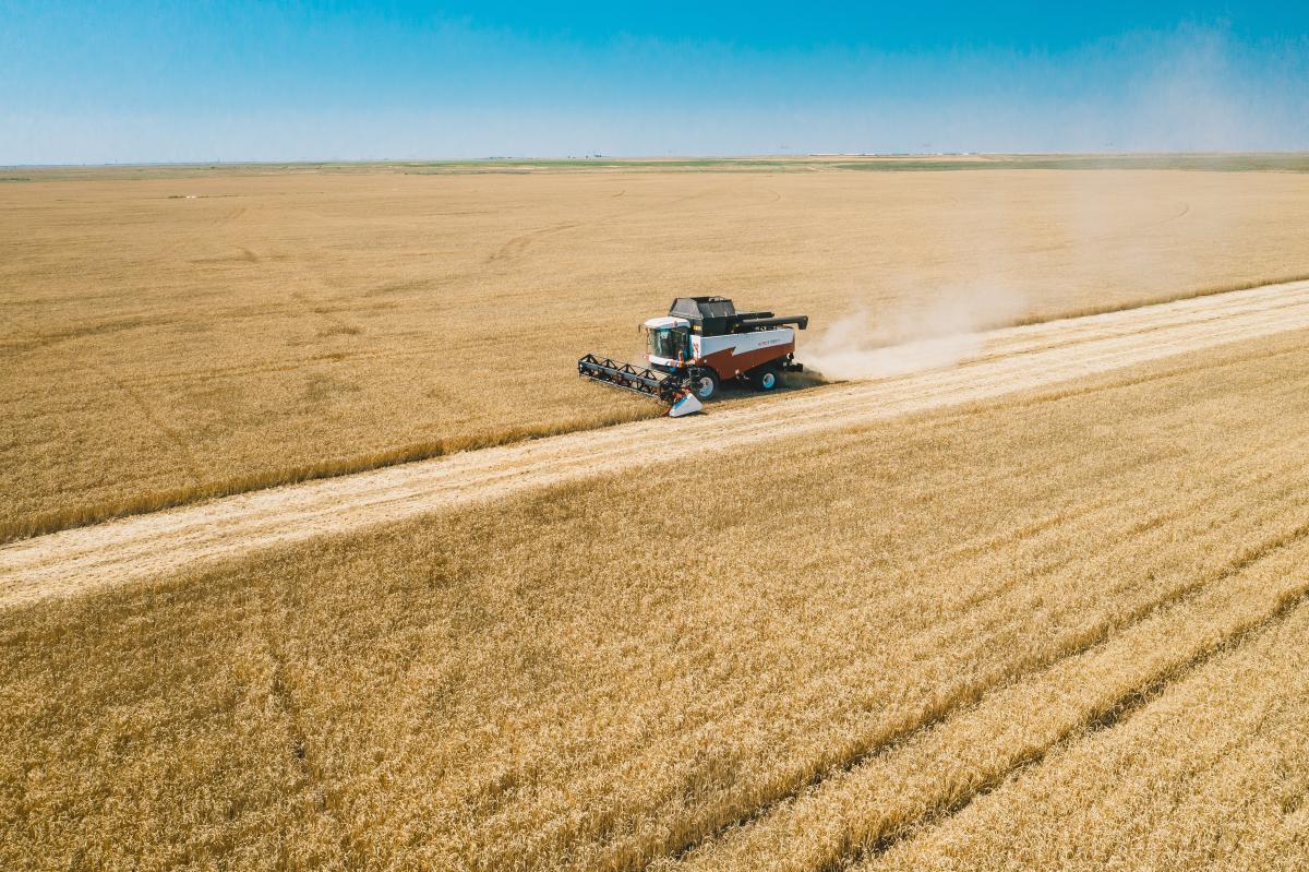Уборка урожая в России идет без сбоев — Минсельхоз