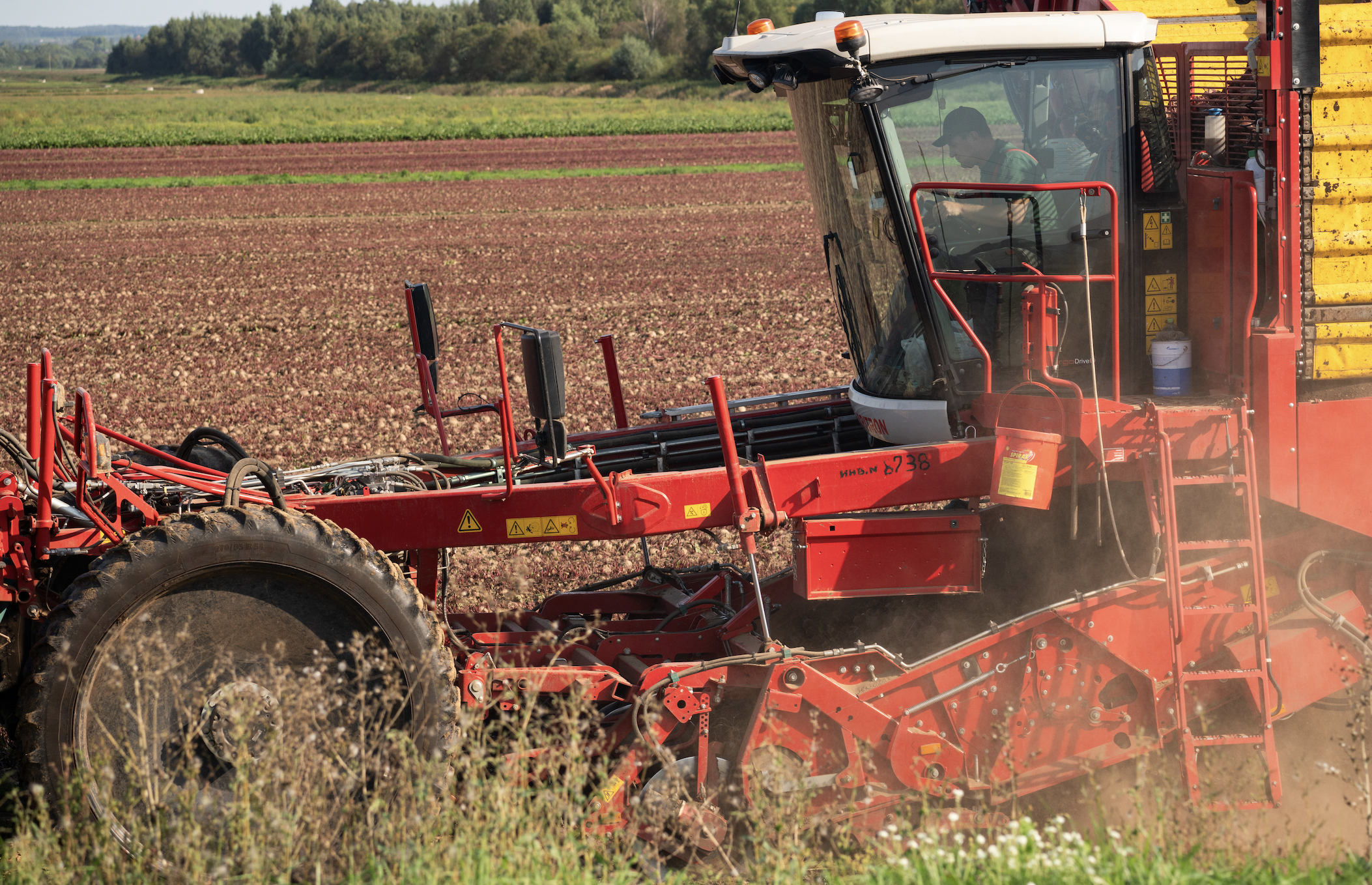 Около 7,5 тысяч гектаров земель неиспользуемых более 5 лет введено в сельскохозяйственный оборот в Подмосковье