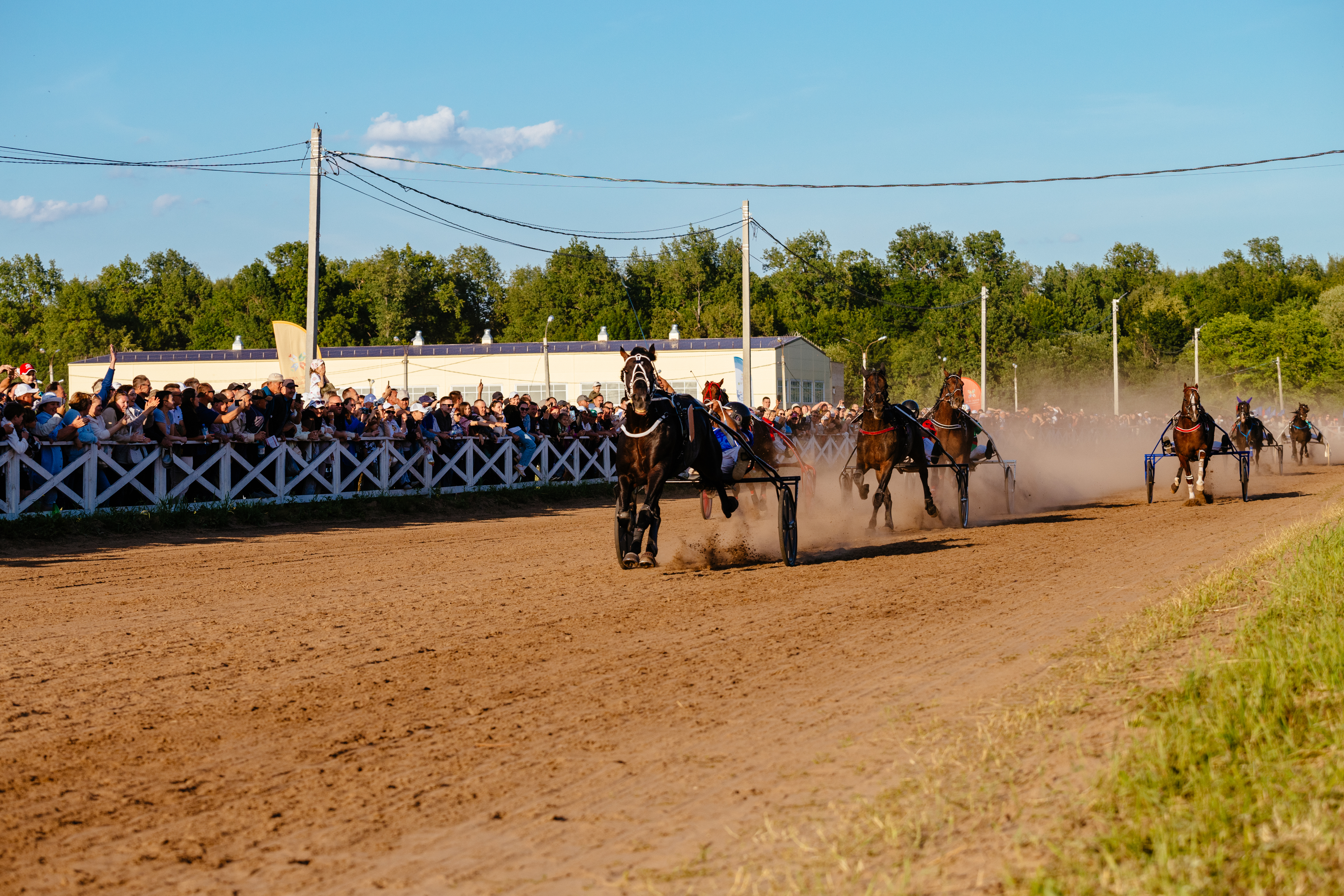 Конные бега в Чувашии укрепляют национальные традиции и поддерживают российскую селекцию