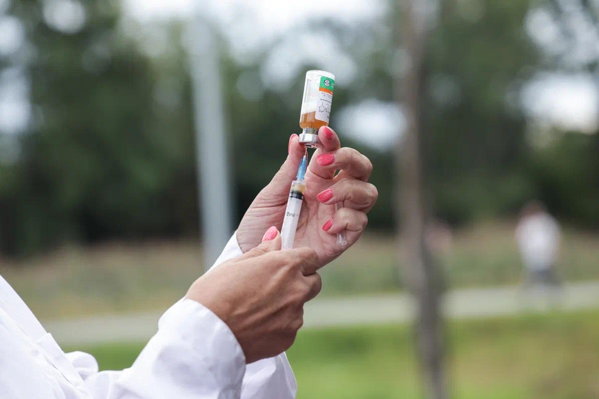 За 5 лет заболеваемость бешенством среди животных в Подмосковье снизилась почти на 90%