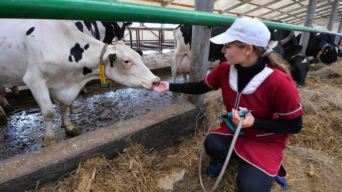 С 2026 года размер единовременной выплаты молодым специалистам при трудоустройстве на предприятия АПК Ивановской области составит 150 тыс. рублей