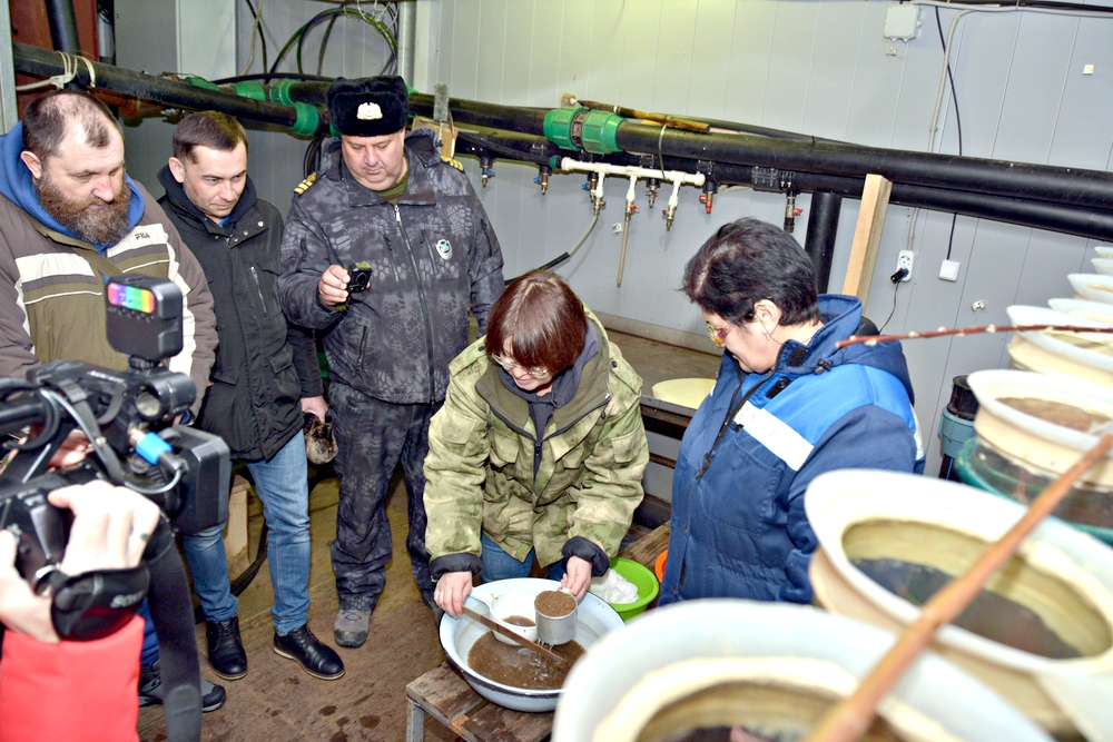В Челябинской области на Чебаркульском рыбзаводе государственная комиссия подсчитала икру