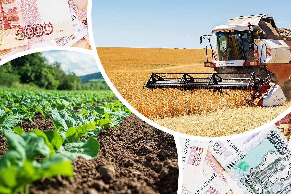 В Чувашской Республике аграриям перечислено около 87% субсидий на поддержку сельского хозяйства