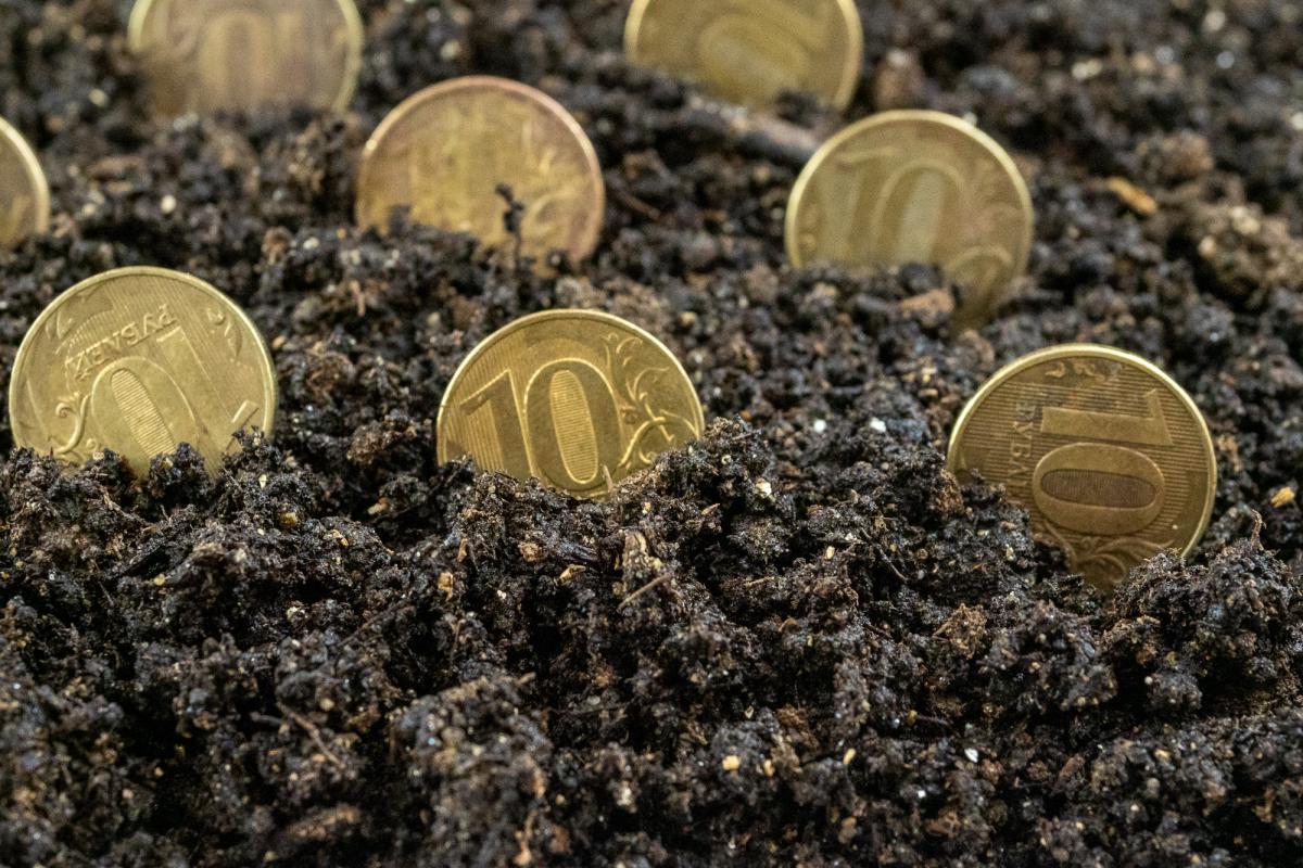 Правительство РФ выделит более 42 млрд руб. на льготное кредитование аграриев