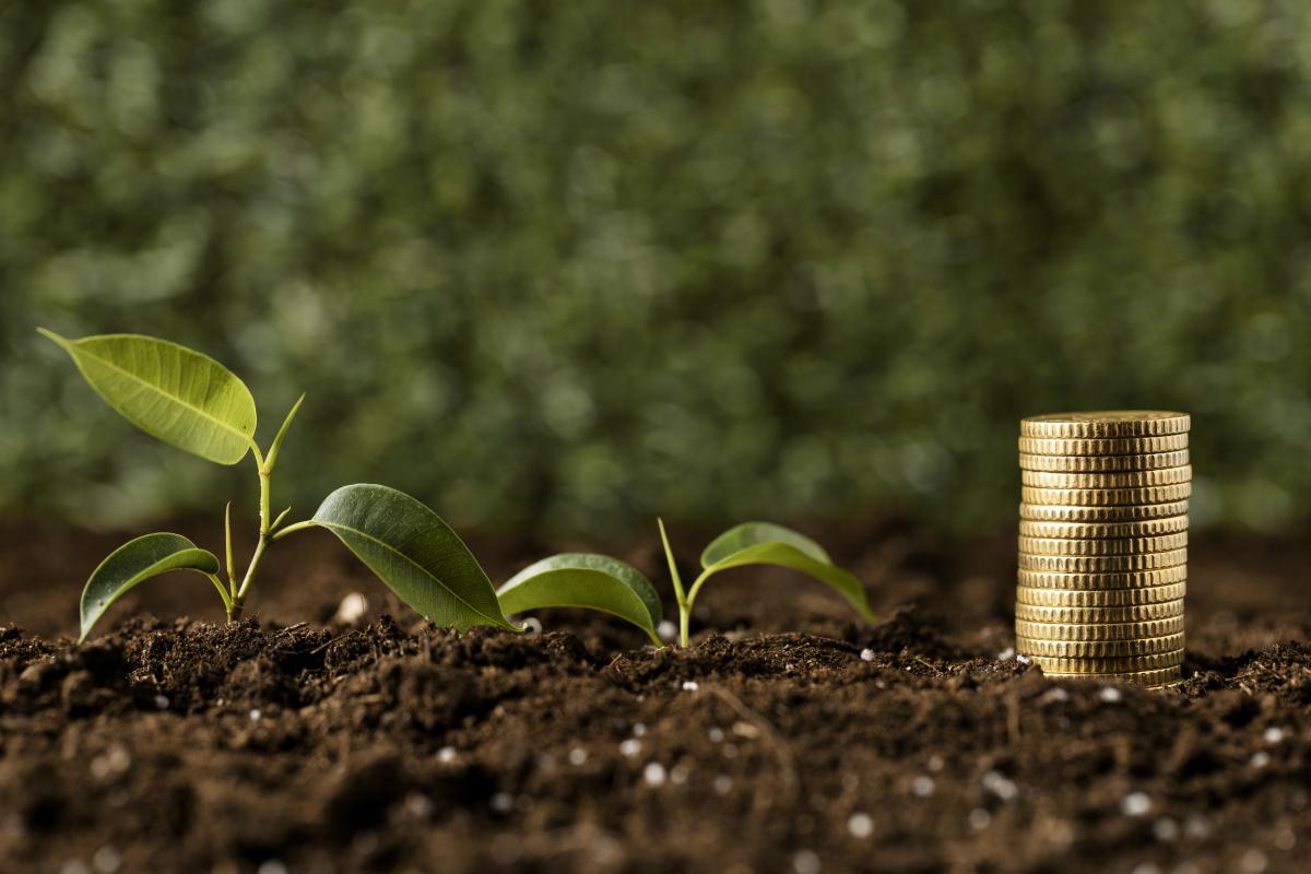 До аграриев Пензенской области доведено 1,17 млрд руб. господдержки в отрасли