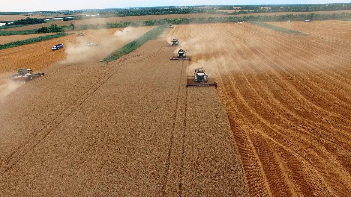 Минсельхоз открывает прием заявок на субсидии для подготовки проектов межевания и проведения кадастровых работ