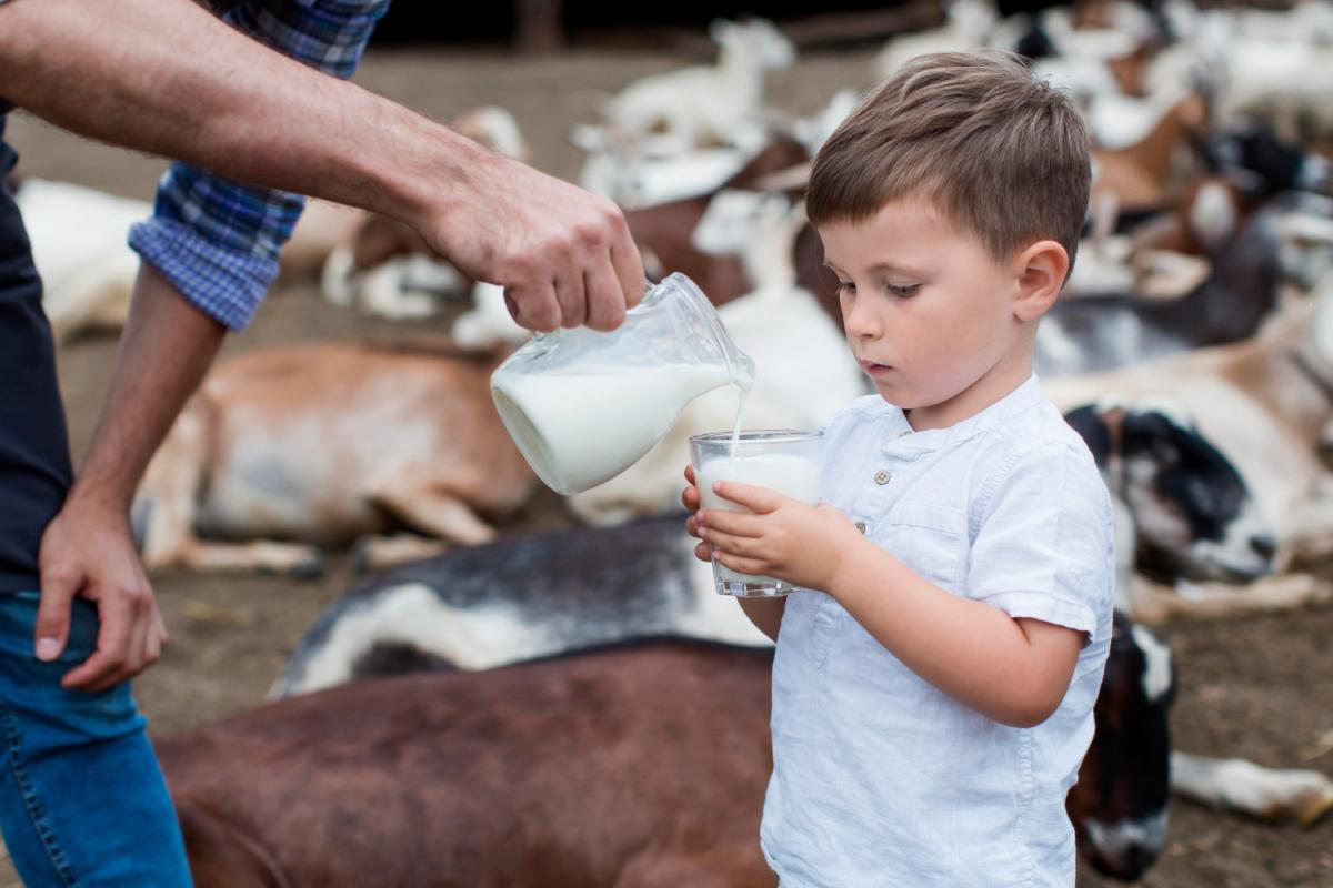 В сельхозорганизациях Нижегородской области производство молока в первом квартале выросло на 2,3%