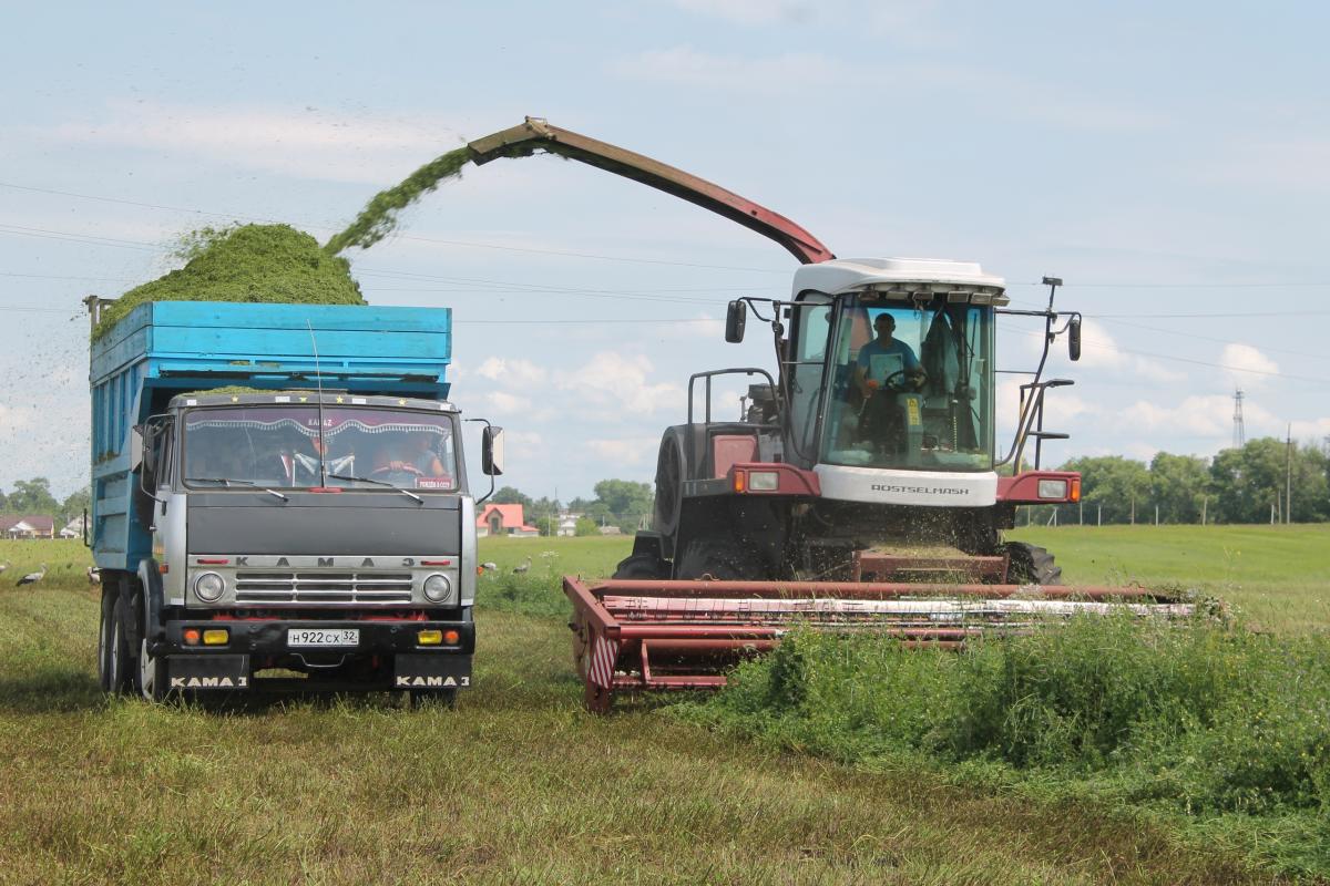 В сельхозорганизациях и КФХ Брянской области заготовлено 63 тыс. т сена
