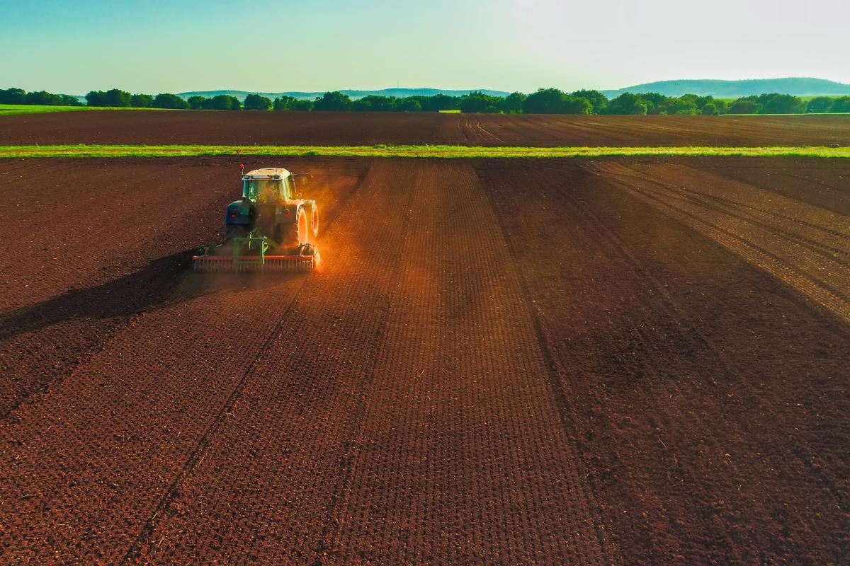 Яровые культуры в Смоленской области посеяли на 157 тыс. га