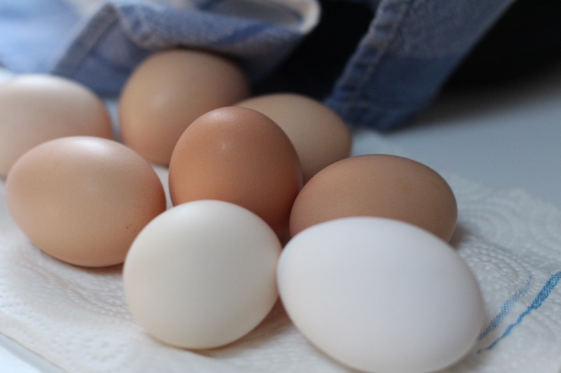 Пермский край занял второе место в ПФО по производству яиц в сельхозорганизациях