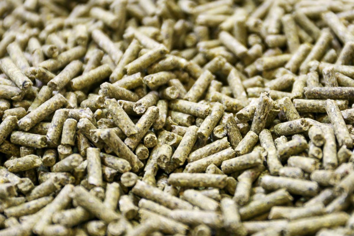 Производство комбикормов в РФ выросло на 3,3% — Росстат