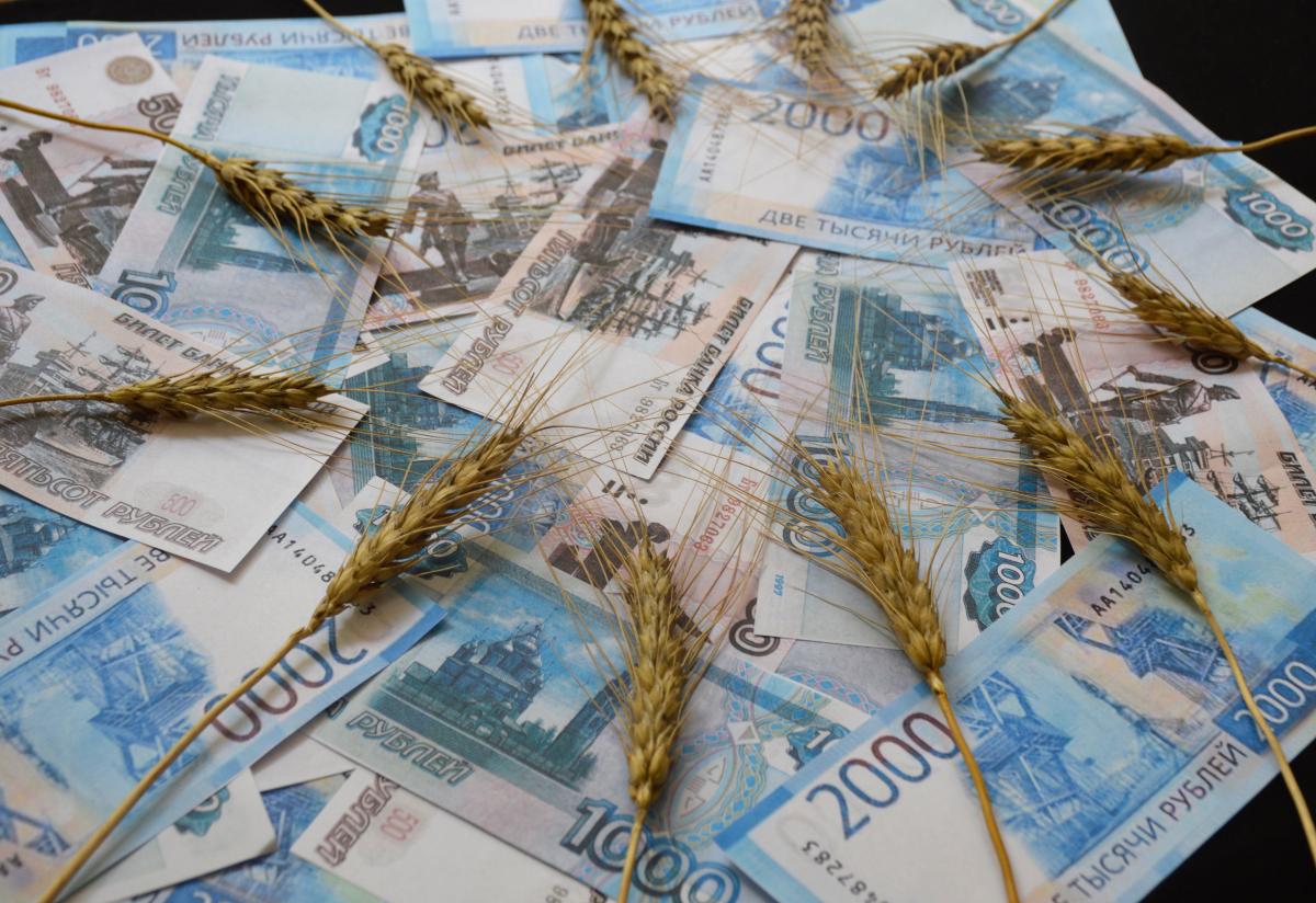Для аграриев Новороссии и Донбасса в 2025 году предусмотрено около 5 млрд руб. — Патрушев