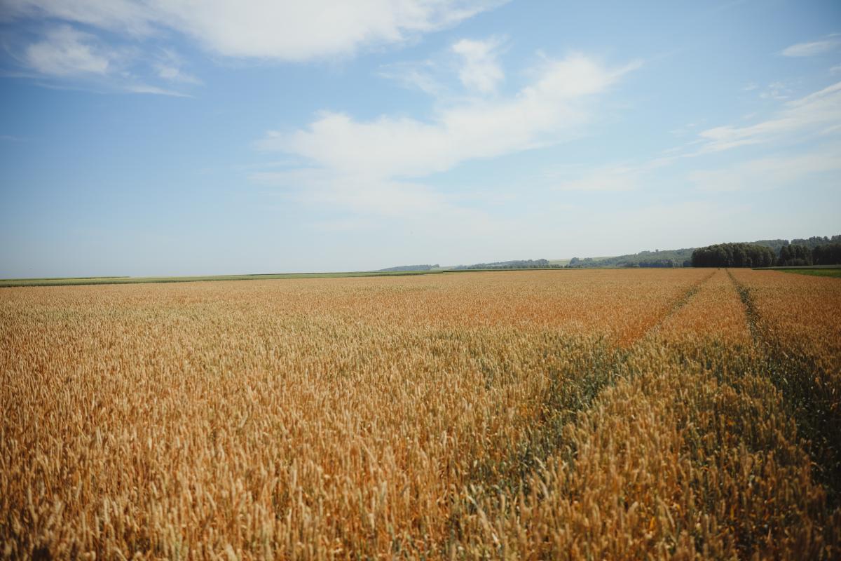 Орловские аграрии — активные пользователи цифровых платформ Минсельхоза России