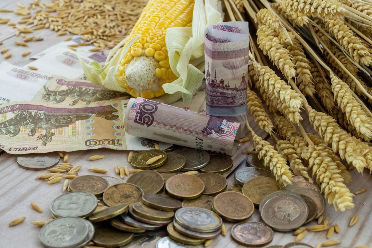 Господдержка АПК в 2025 году вырастет на 41 млрд руб. — до 562 млрд руб.