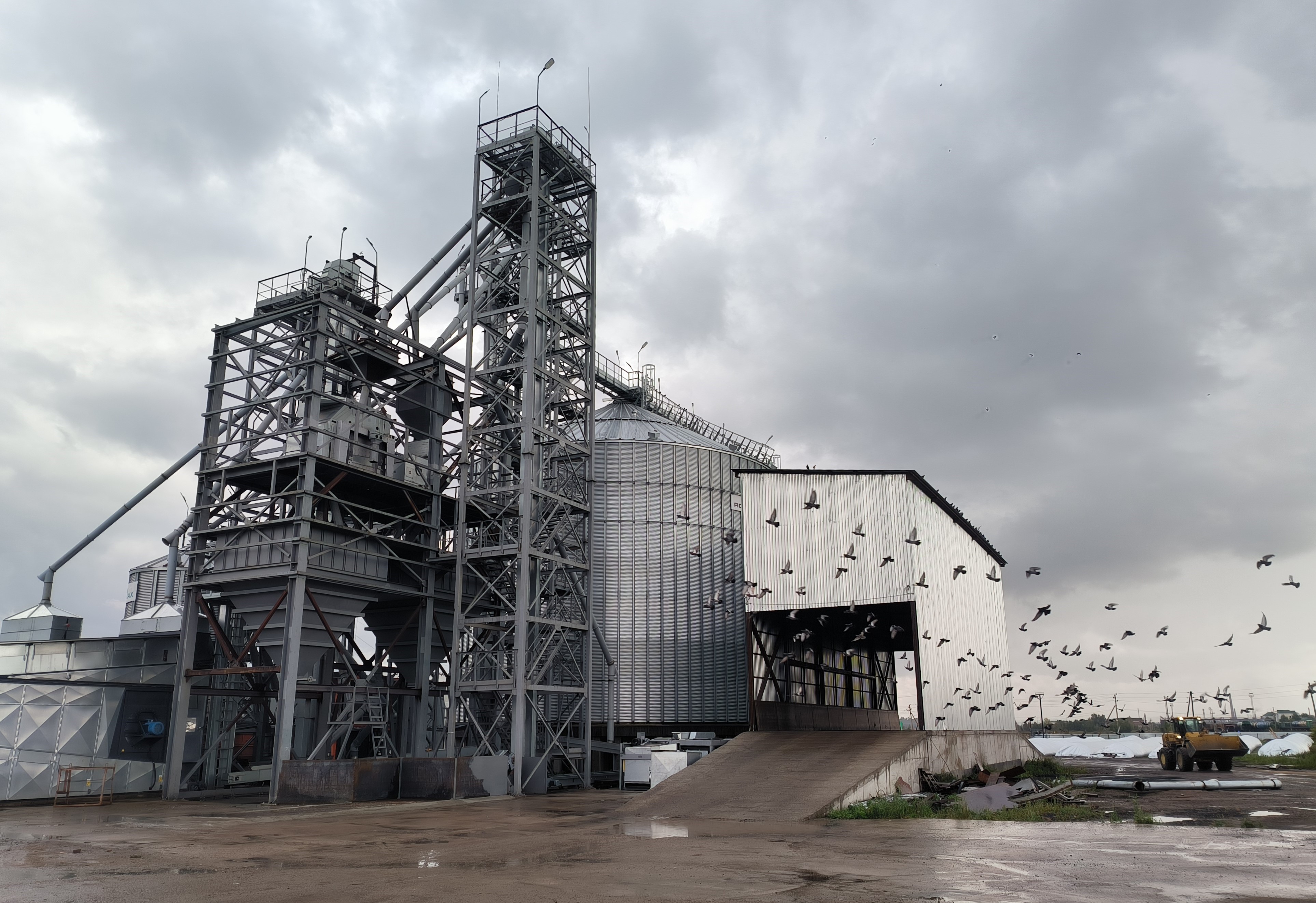 До 2026 года планируем перерабатывать весь красноярский рапс