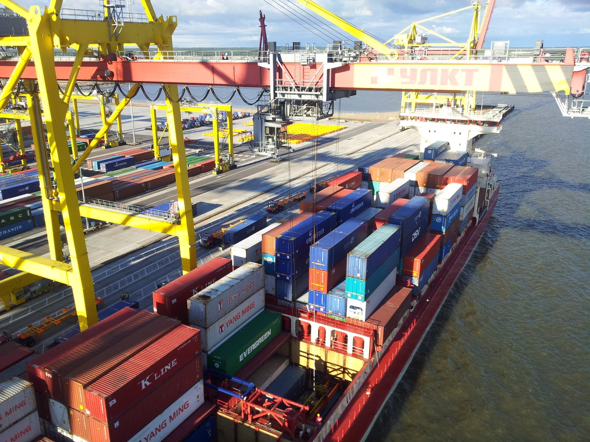 Более 600 тыс. тонн продукции АПК отправила Липецкая область на экспорт в первом квартале 2024 года