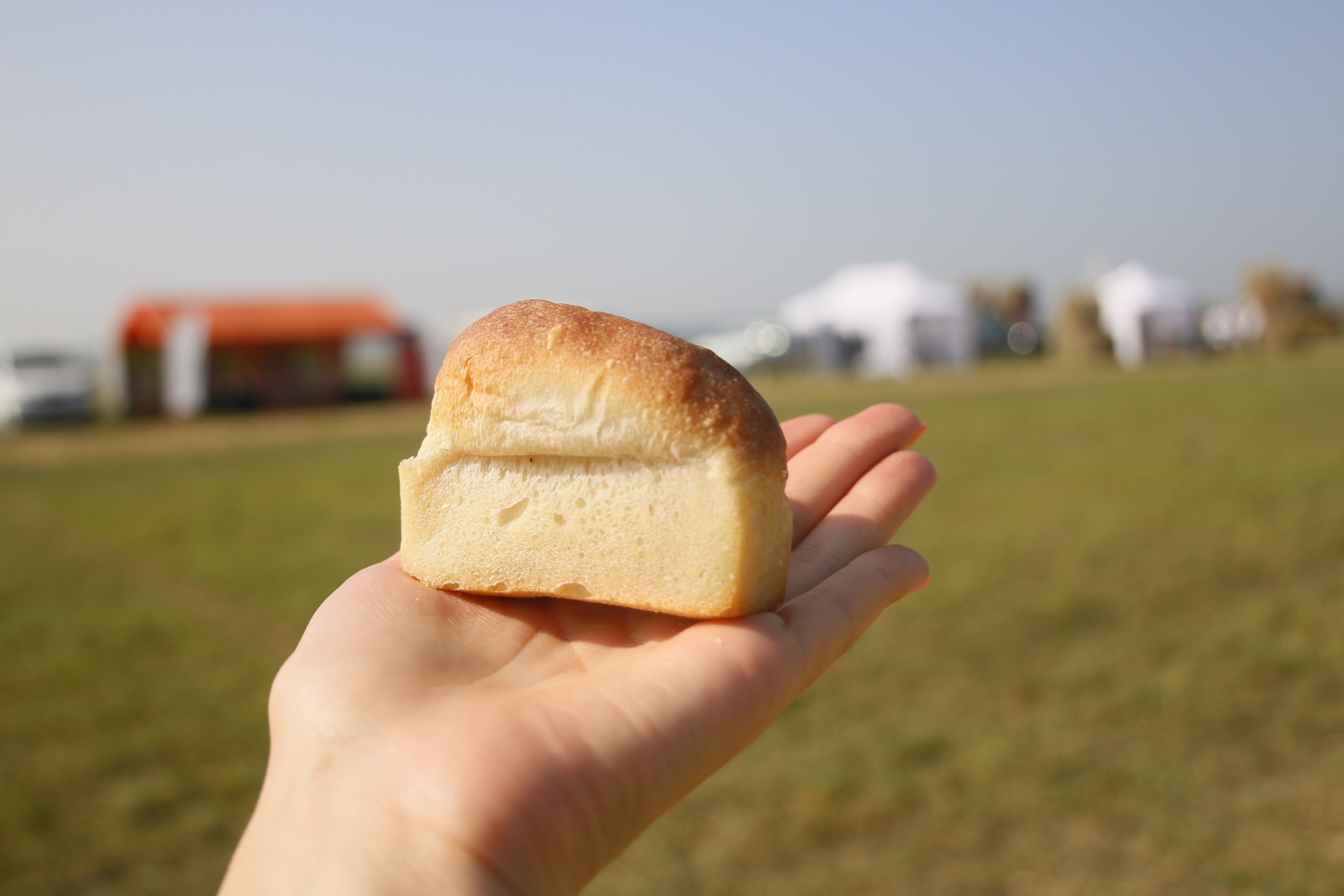 В Башкортостане за 5 лет господдержку получили более 680 фермеров и сельхозкооперативов