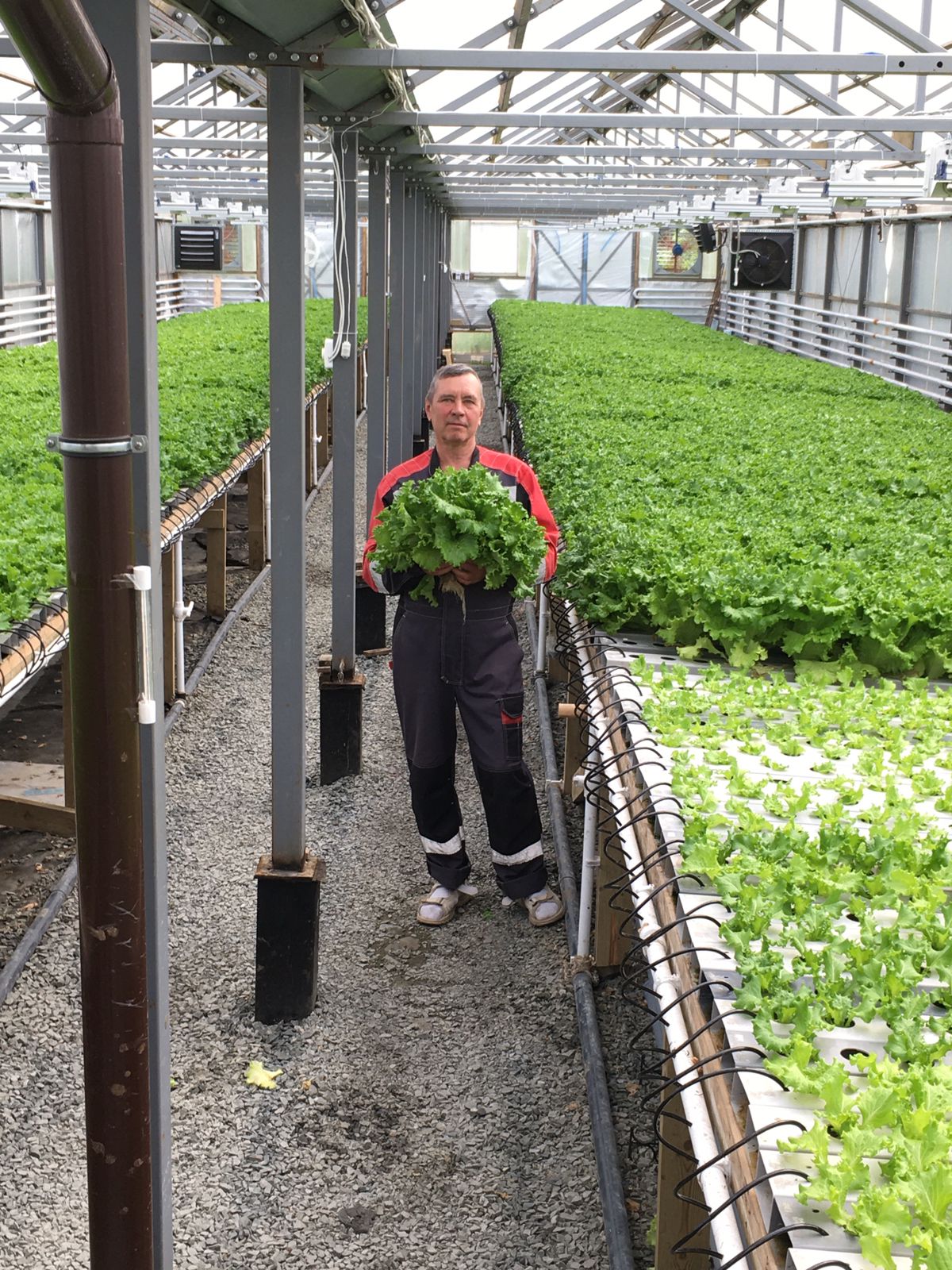 Пять фермеров Карелии получат средства на развитие своего хозяйства 