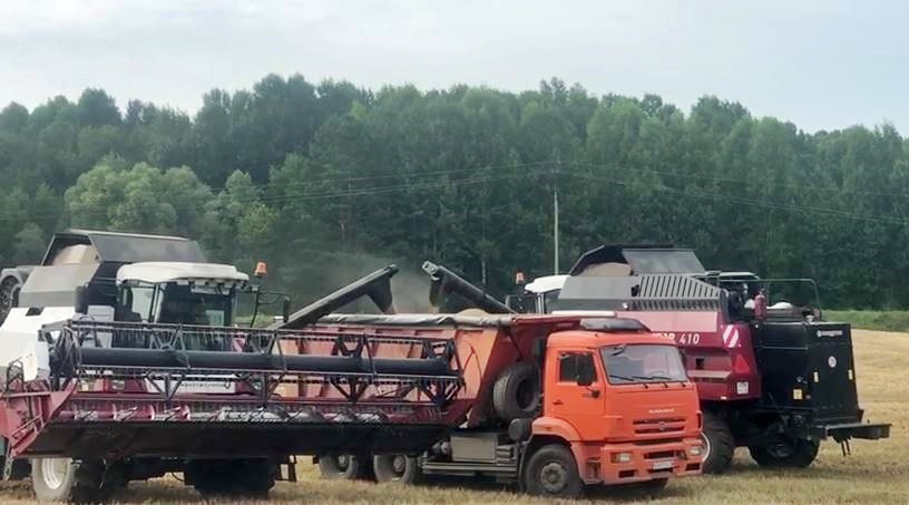 В Кривошеинском районе Томской области приступили к уборке ячменя