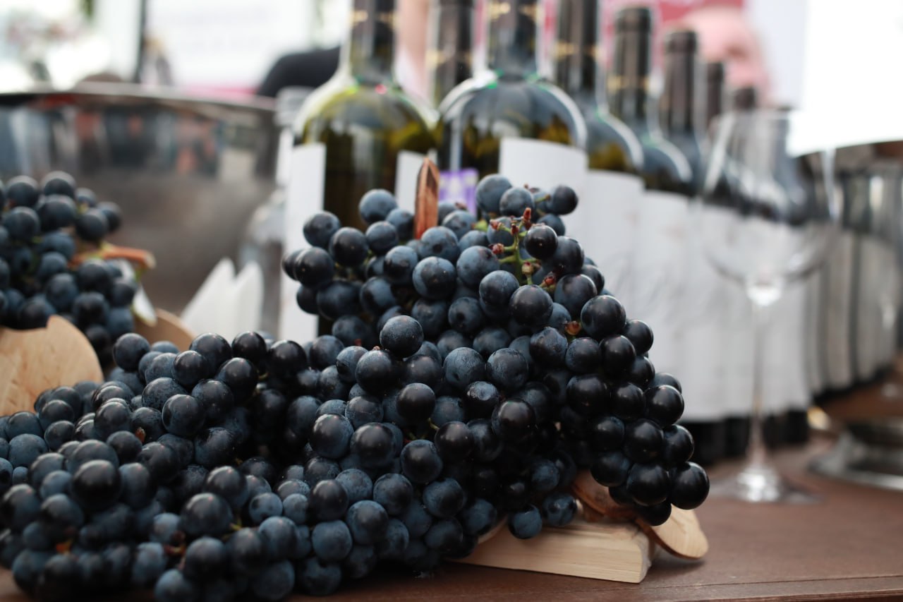 В России продолжается рост производства вина