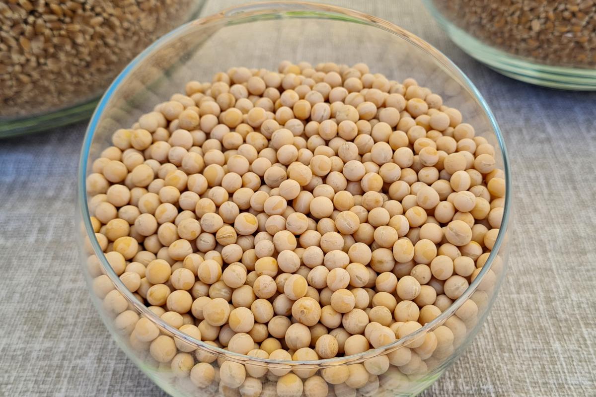 В Орловской области планируется строительство крупного селекционного центра 