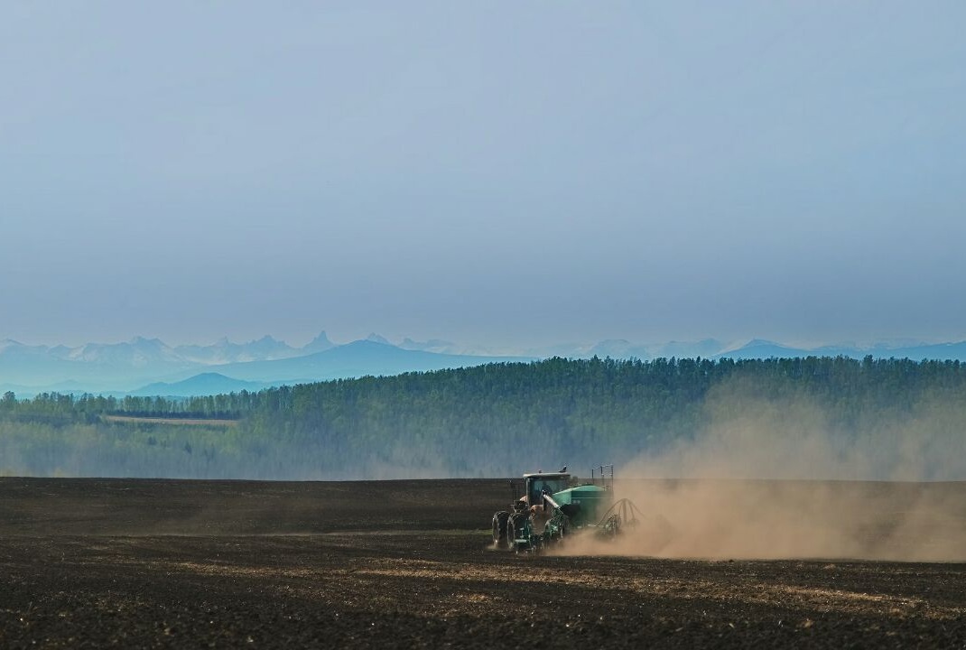 В Республике Алтай к 20 мая боронование зяби прошло на 80% площади от плана