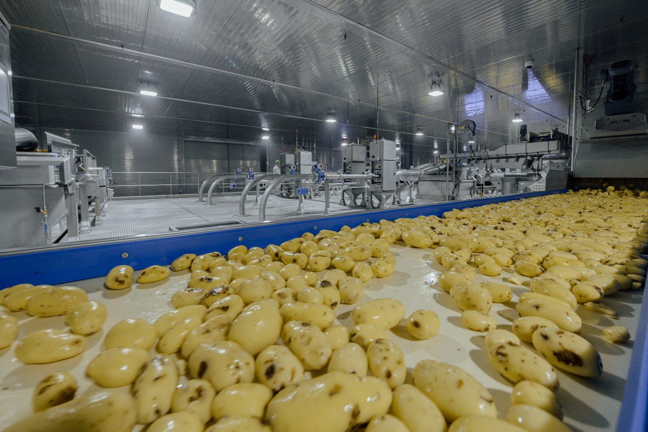 Производственные корпуса второй линии завода по переработке картофеля построили в ОЭЗ «Липецк»