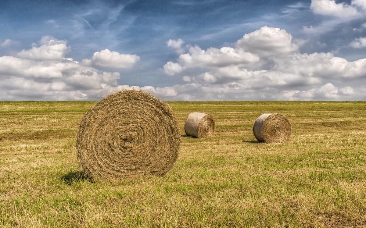 Башкирские аграрии перевыполнили план заготовки сена и сенажа