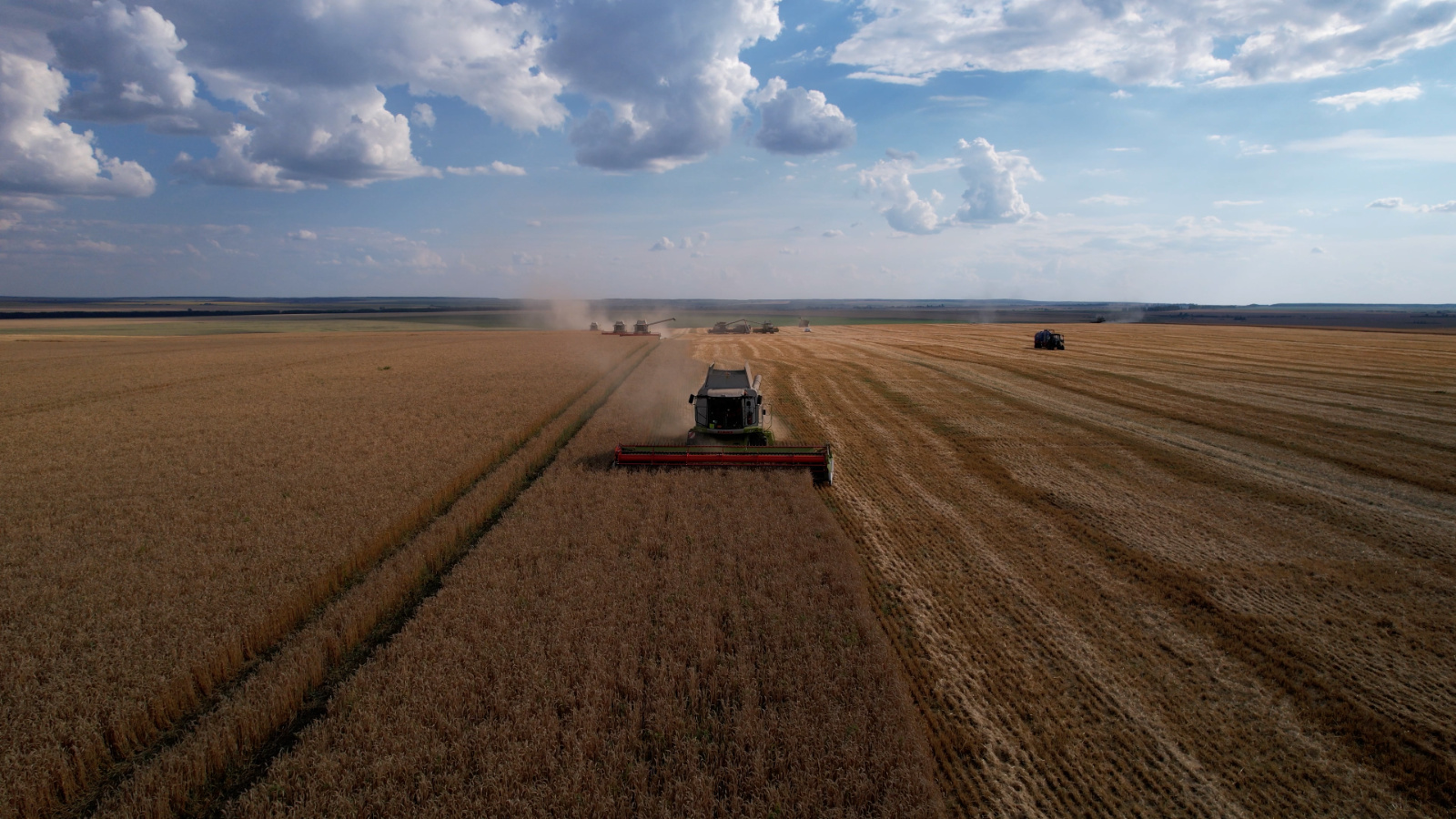 В Татарстане намолотили более 4 млн тонн зерна