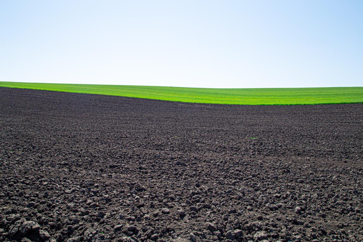 Озимый сев в Дагестане будет проведен на 94 тыс. га