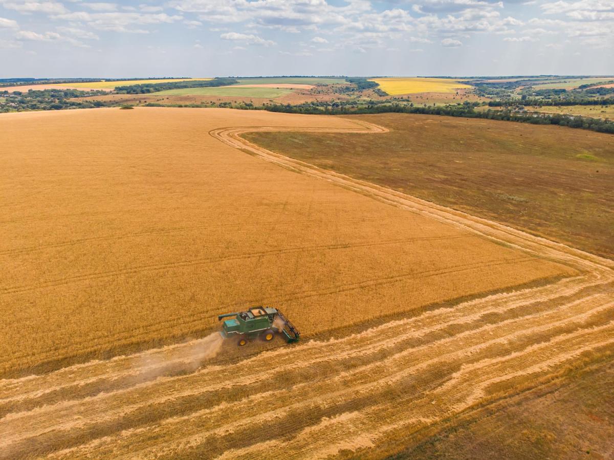 В Приморском крае стартовала уборка зерновых культур