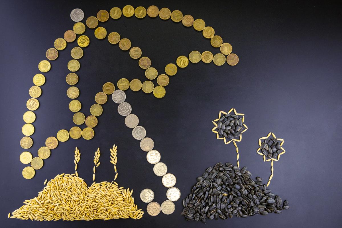 НСА: площадь застрахованных посевов в России превысила 15 млн га