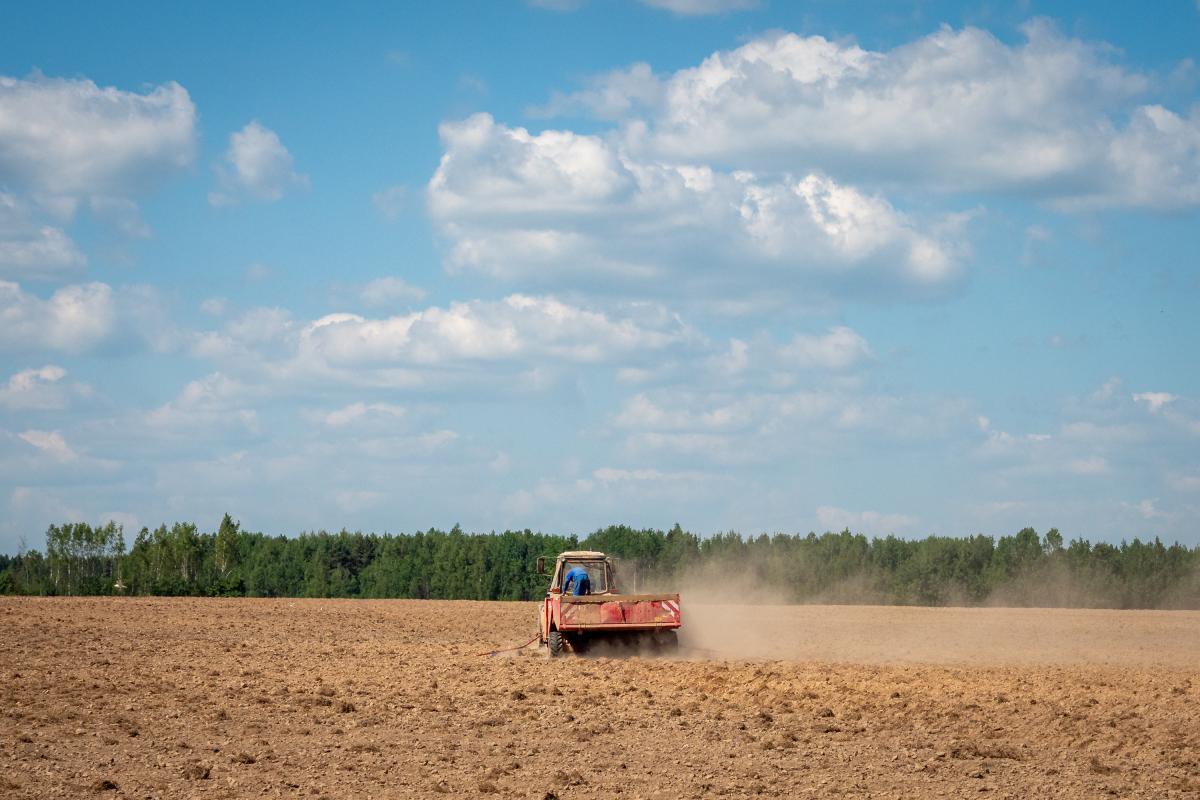 Аграрии Республики Алтай завершили весенне-полевые работы | Agroday.RU