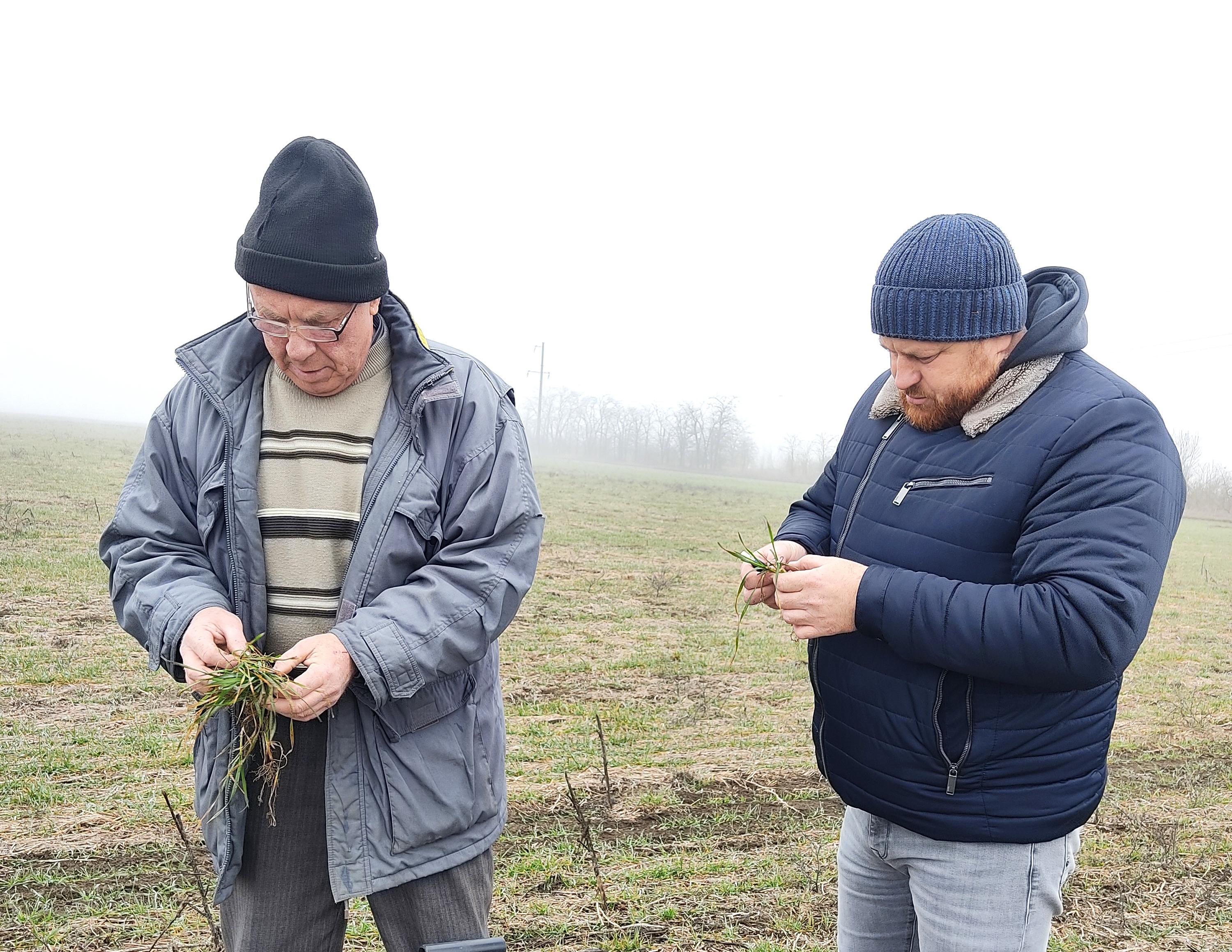 В Советском районе Ставрополья продолжается комплексная работа специалистов Россельхозцентра   