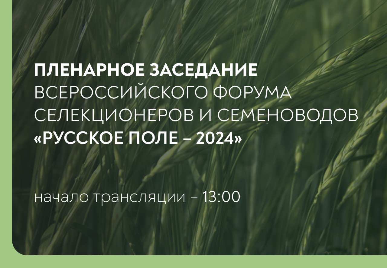 Прямая трансляция пленарного заседания форума «Русское поле – 2024»