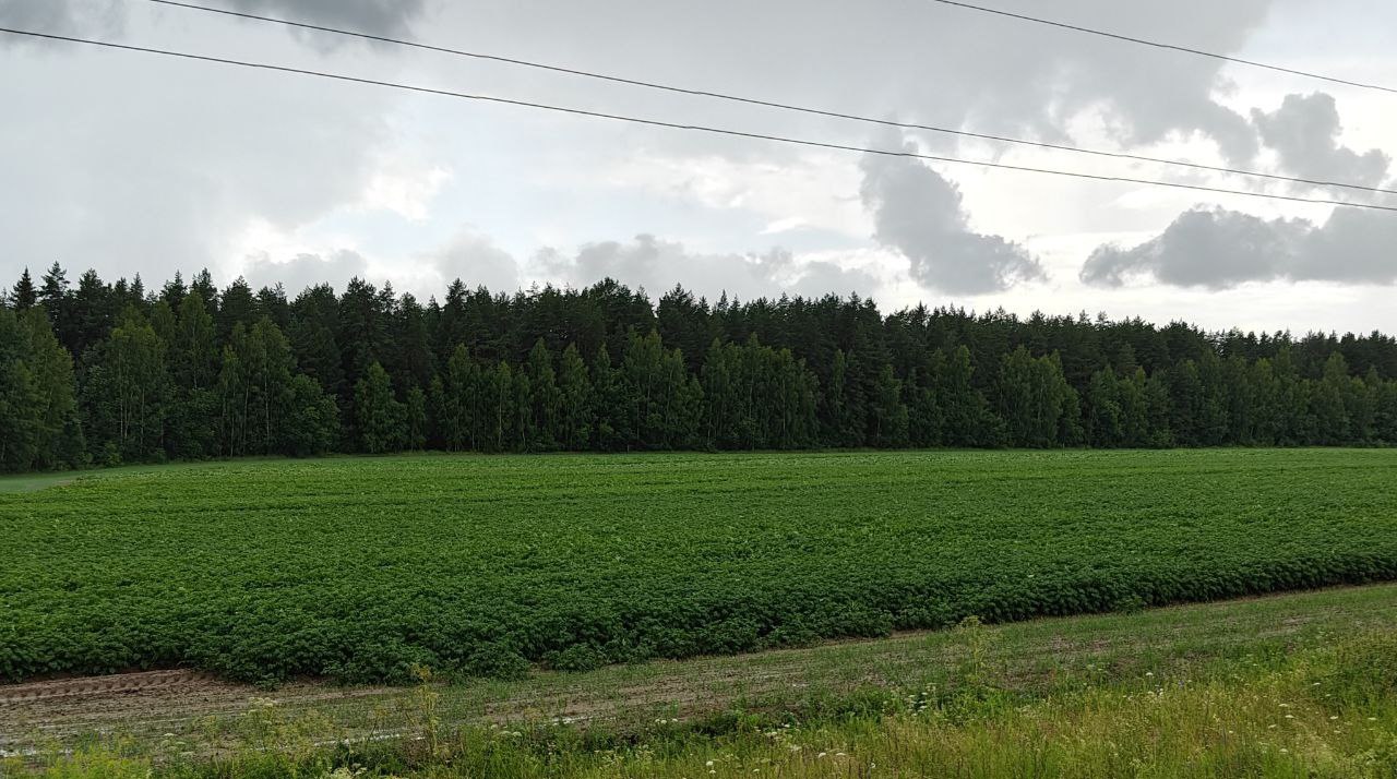 В Нижегородской области завершена посевная кампания