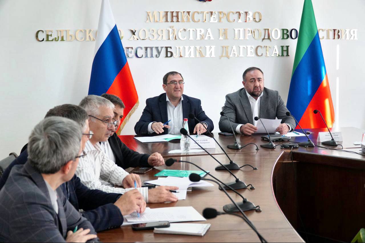 В Минсельхозпроде Дагестана обсудили вопросы формирования статистической отчетности в АПК