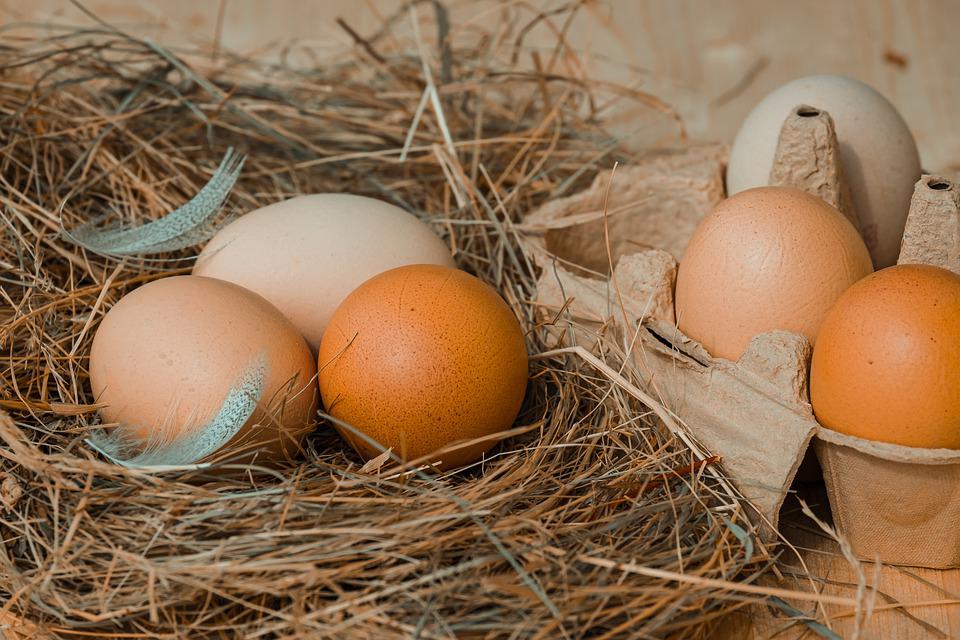 В новгородской рознице средняя цена на яйца снизилась на 4,2%