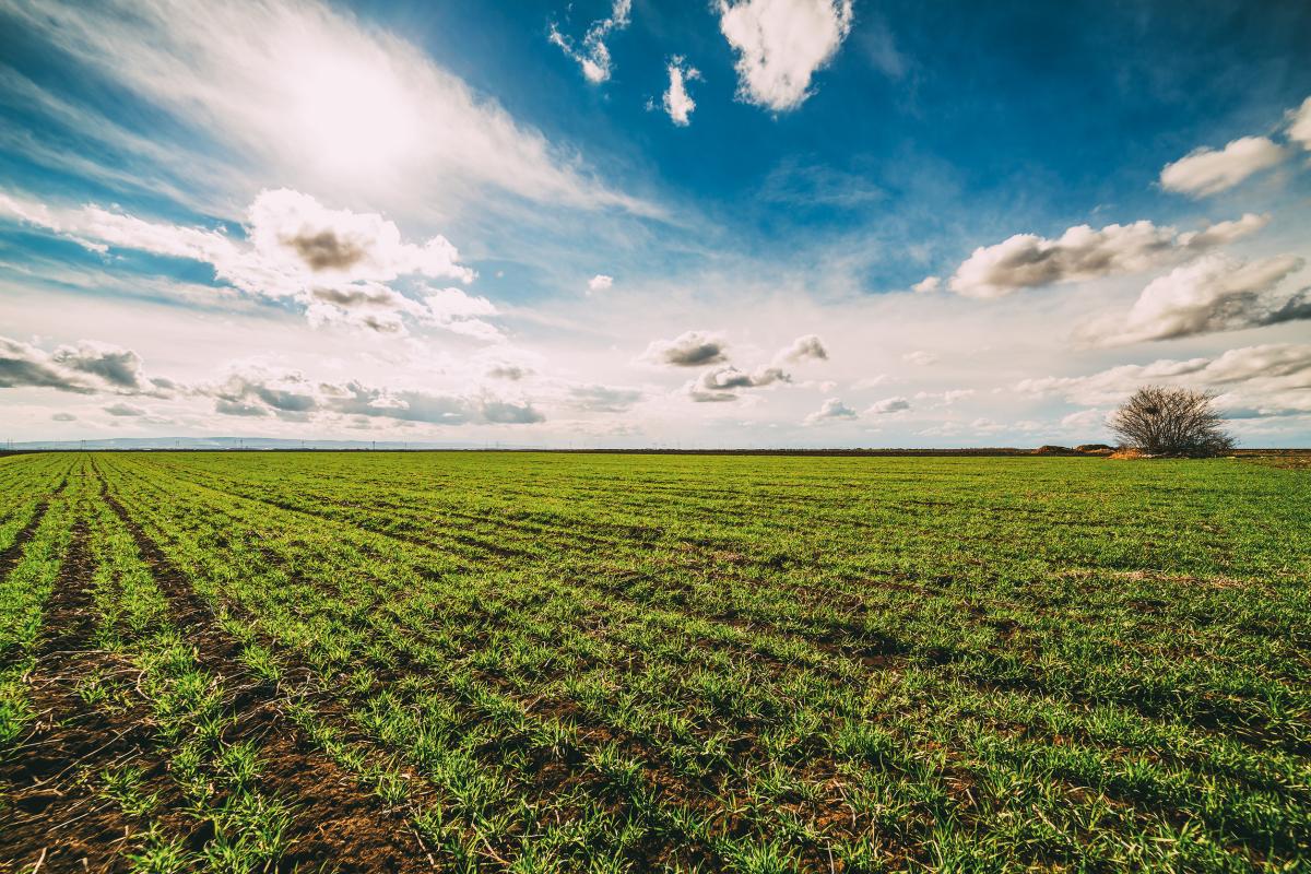 Весной 2026 года в РФ вступят в силу новые правила изъятия сельхозземель