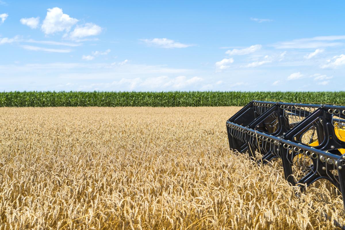 В Татарстане собрали 3,7 млн т зерна