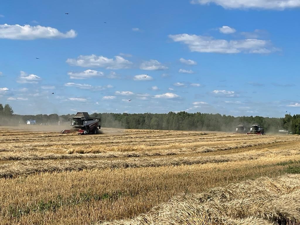 В Томской области стартовала уборочная кампания