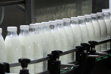 Объём реализации молока в сельхозорганизациях вырос на 3,6%