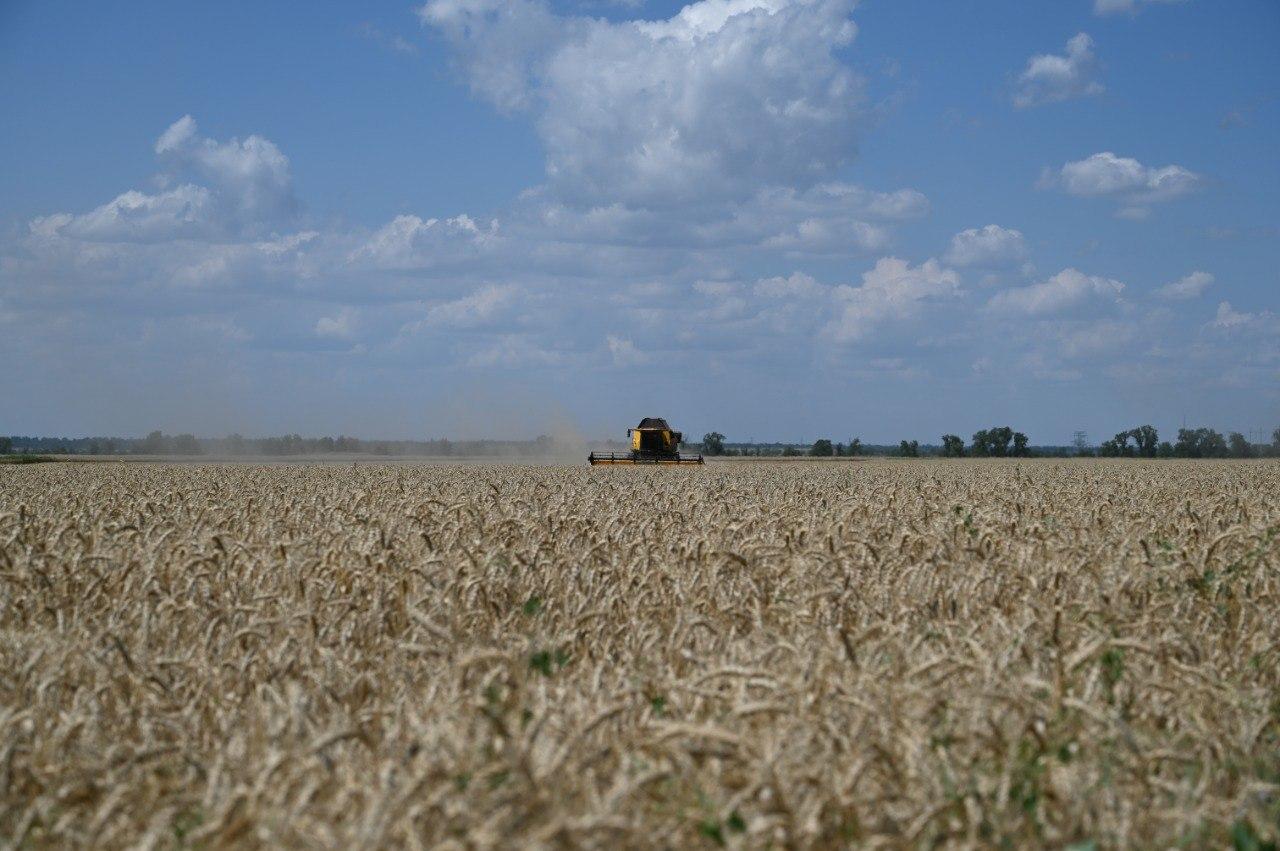 Аграрный сектор Запорожской области демонстрирует стабильный рост