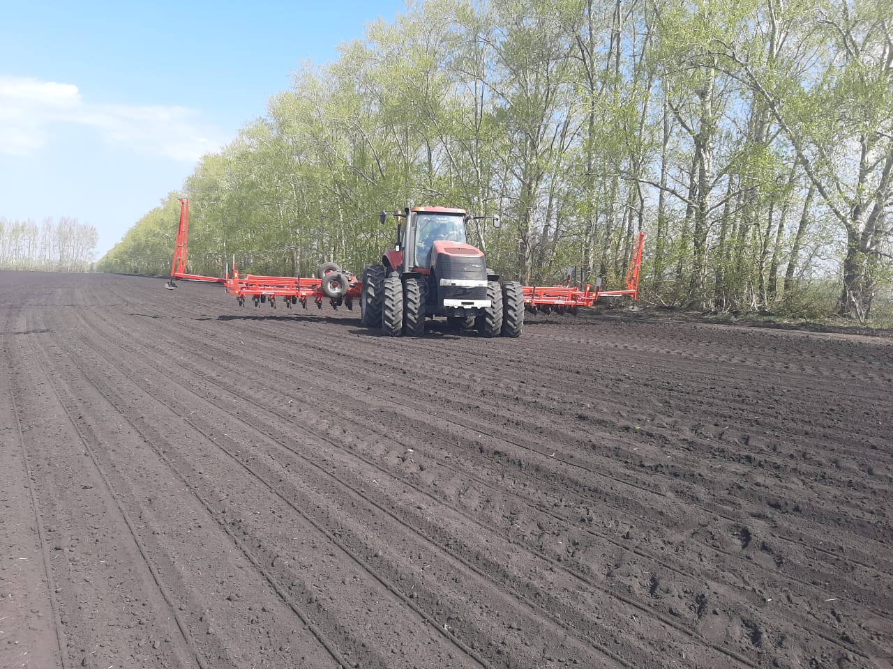 Темпы ярового сева в Липецкой области опережают прошлогодние более чем на 17%