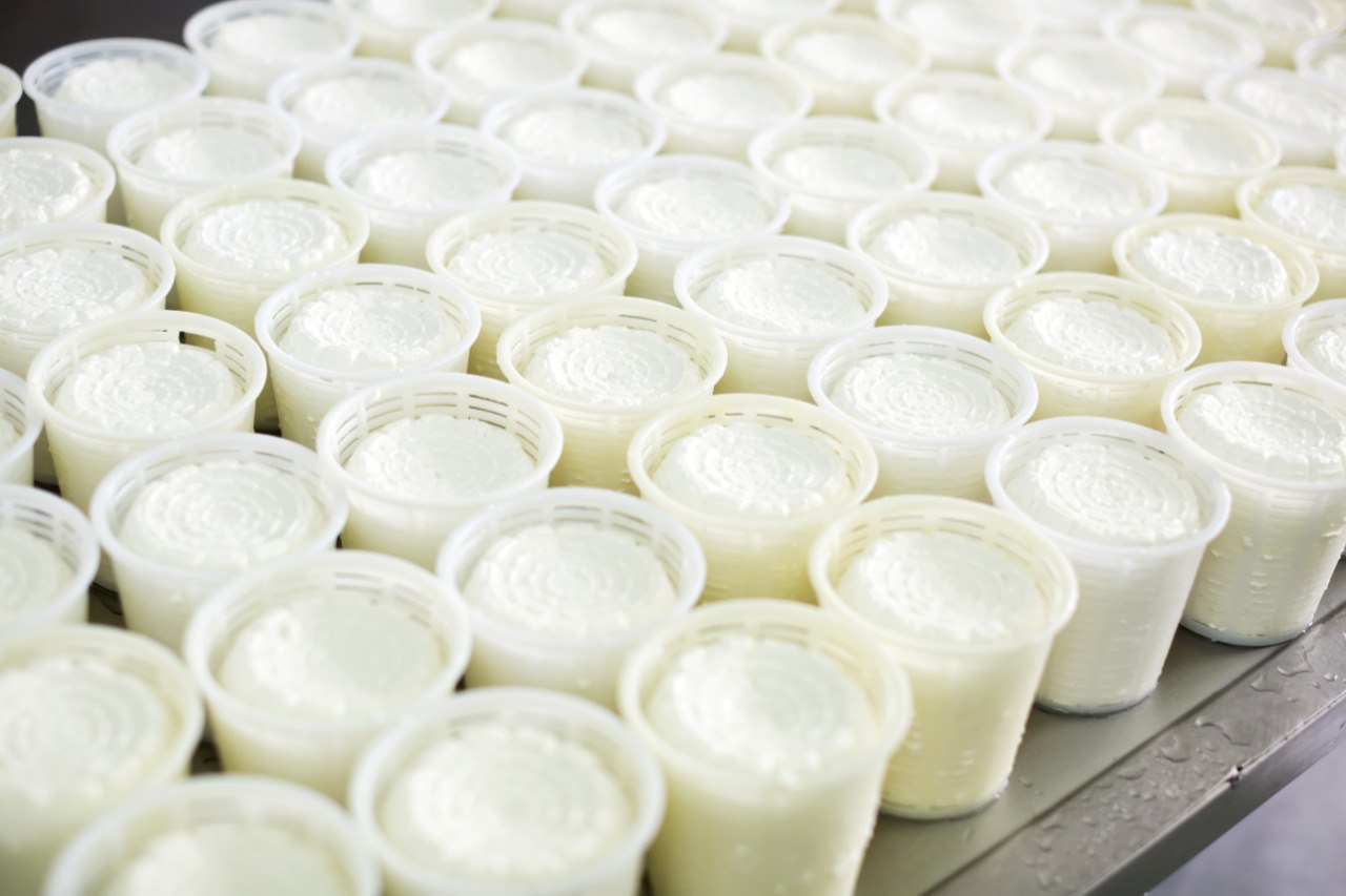 Перерабатывающая отрасль Запорожской области продолжает демонстрировать стабильный рост и развитие